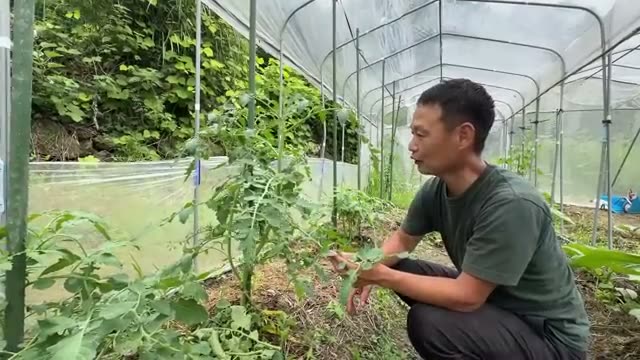 結束のコツと枝の管理