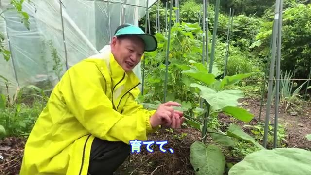 4. 成長の起爆剤!「雨の力」と「外気慣らし」を味方につける