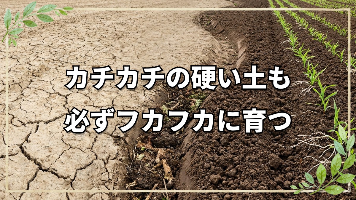 硬い土をフカフカにする土壌改善法