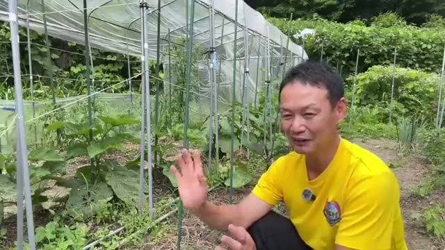 生の草や青い残渣を土に埋め込まない