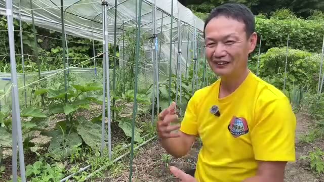 大雨の直前に耕起を行わない