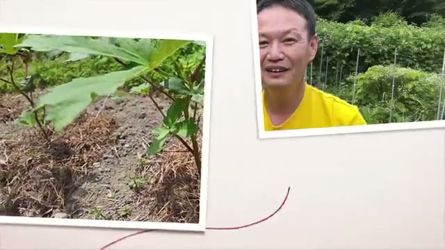 土が乾きすぎている時の耕起にも注意する