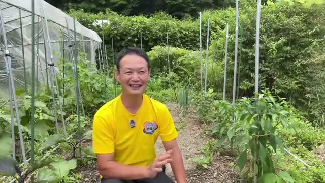 濡れている土を耕してはいけない