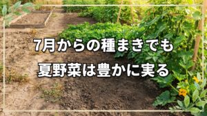 自然栽培で育てる7月の種まき野菜｜おすすめ品目と今橋さんの実践記録