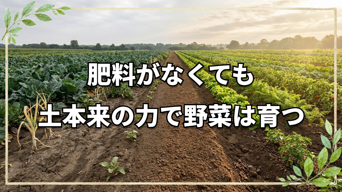 なぜ無肥料・無農薬で野菜が育つのか？自然栽培20年の実践者が語る土の力