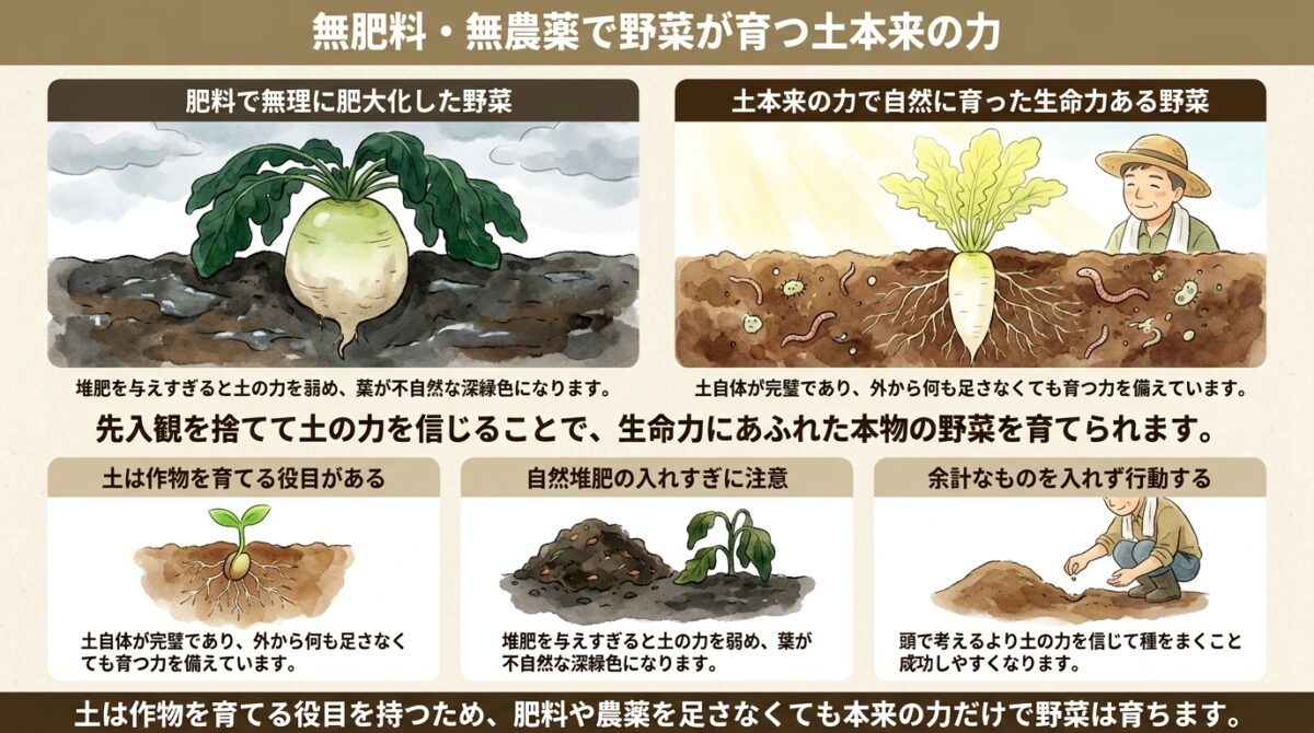 なぜ無肥料・無農薬で野菜が育つのか?自然栽培20年の実践者が語る土の力
