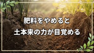 肥料をやめ土本来の力を引き出す仕組み