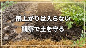梅雨や大雨の後に絶対やってはいけないこと|土を弱らせないための管理と雨後の活用法