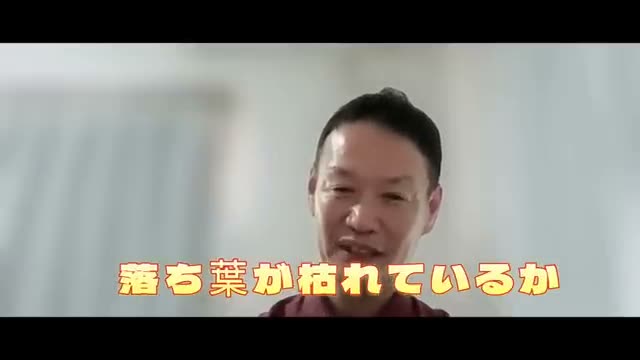 土の中にすき込む際の注意点
