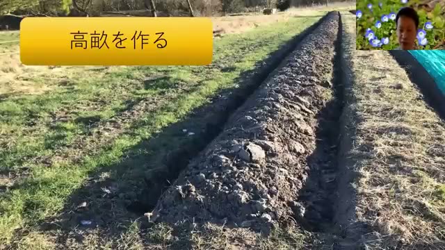 外周の溝掘りと高畝で空気と水の流れを整える