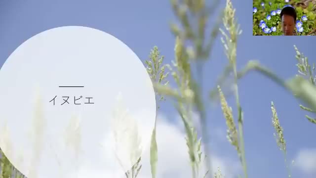 雑草の種類から土の水分状態を読み解く