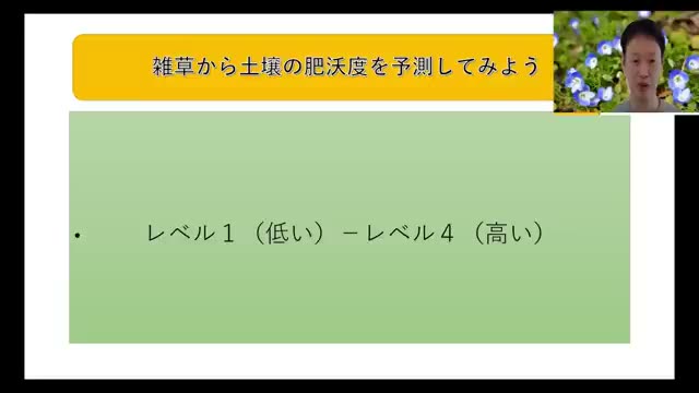 雑草でわかる土壌肥沃度の4つのレベル