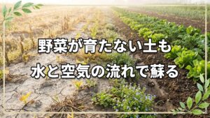 自然栽培で野菜が育たないときの対処法｜土の再生と雑草が教える土壌のサイン