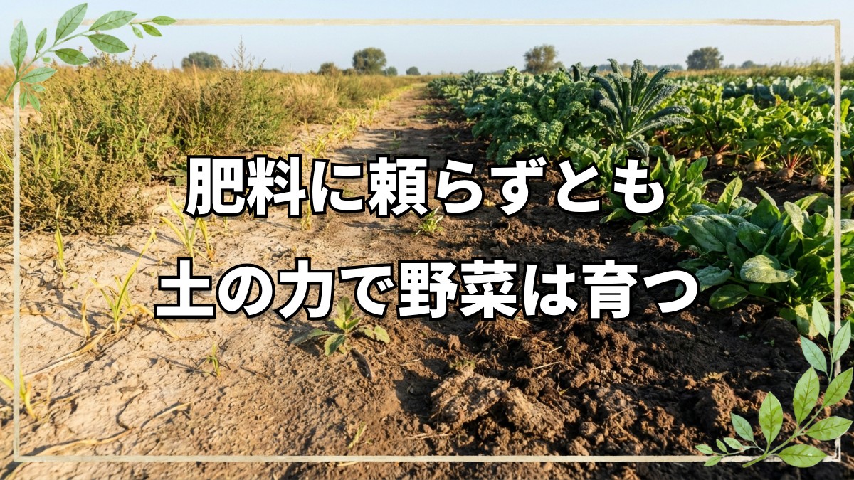 生きた土と信頼を築く自然栽培の向き合い方