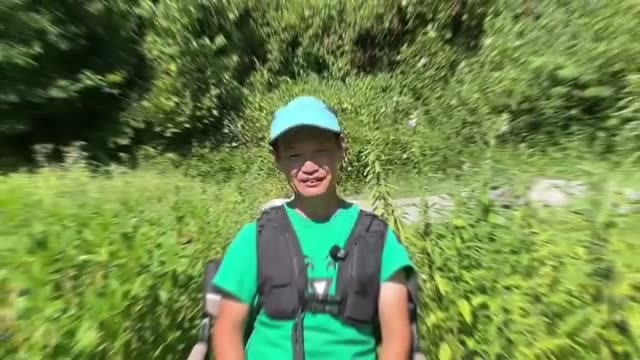 刈り取った青草を扱う際の注意点