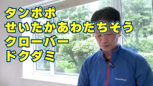 地下茎で増える多年生雑草へのアプローチ