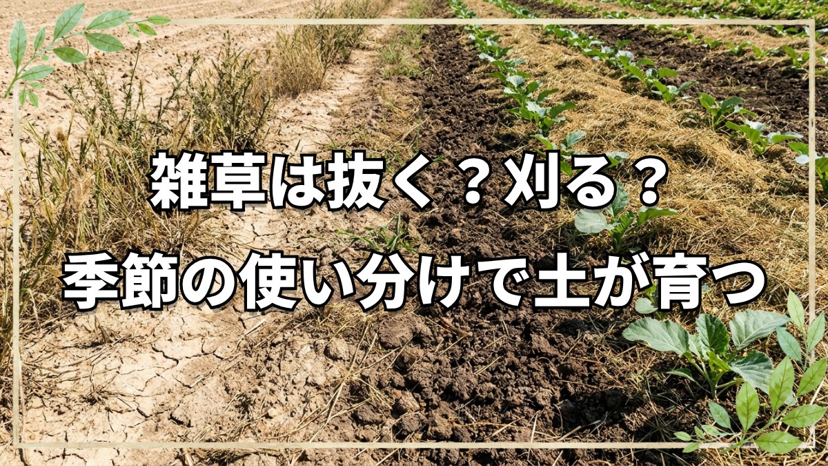 【自然栽培】雑草は根から抜く？抜かない？時期別の刈り方と強固な地下茎への対処法