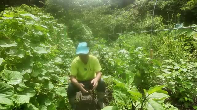 草刈りと耕うんの選択肢