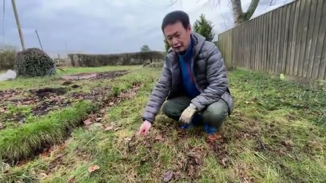 機械を使わない時短畝づくりの手順