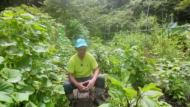 畑に入る前の心構えと土への挨拶