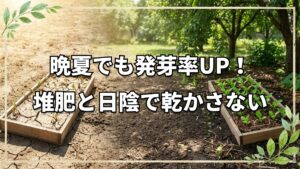 【自然栽培】晩夏・初秋の種まきは乾燥対策が鍵!失敗を防ぐ土選びと管理法