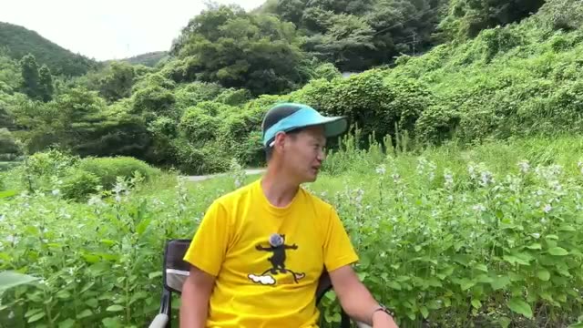 クズが消えた畑の現在と野菜の生育状況
