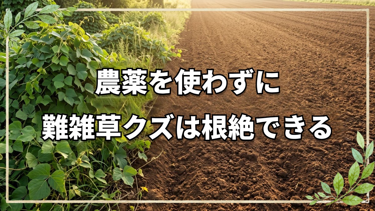 農薬不使用で難雑草クズを根絶する方法