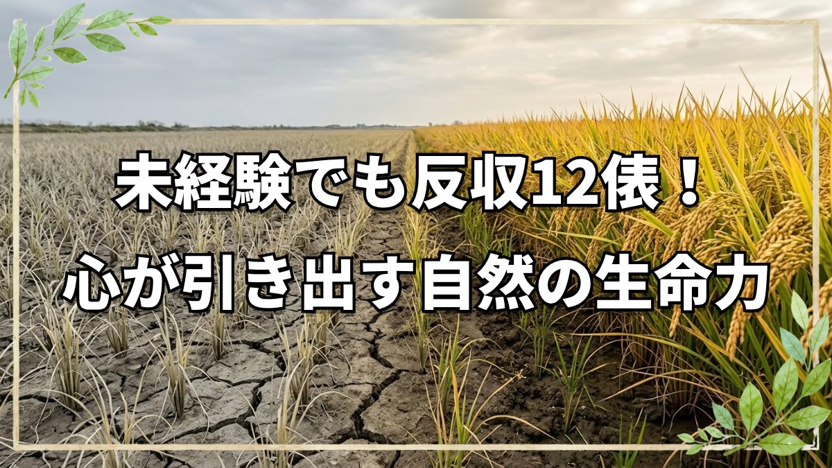 自然栽培を始めたきっかけと20年の歩み｜心と作物のつながりと自然の力