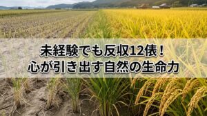 自然栽培を始めたきっかけと20年の歩み|心と作物のつながりと自然の力