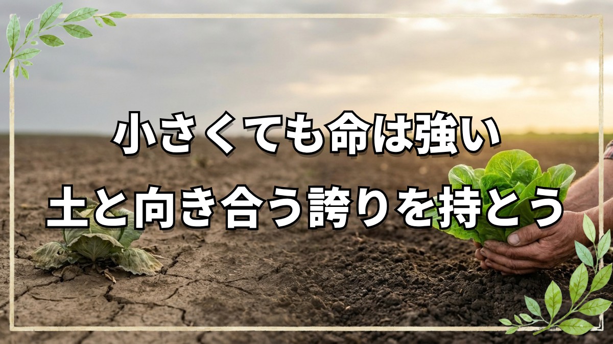 野菜ができなかった時の心の持ち方と自然栽培の力