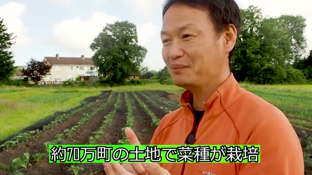 大規模な菜種栽培への課題意識