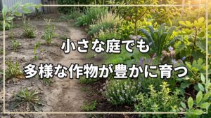 自然栽培1年目のガーデン見学|多種多様なハーブと野菜が育つ畑の個性