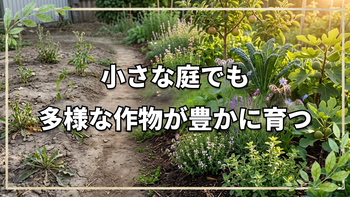 自然栽培1年目のガーデン見学｜多種多様なハーブと野菜が育つ畑の個性