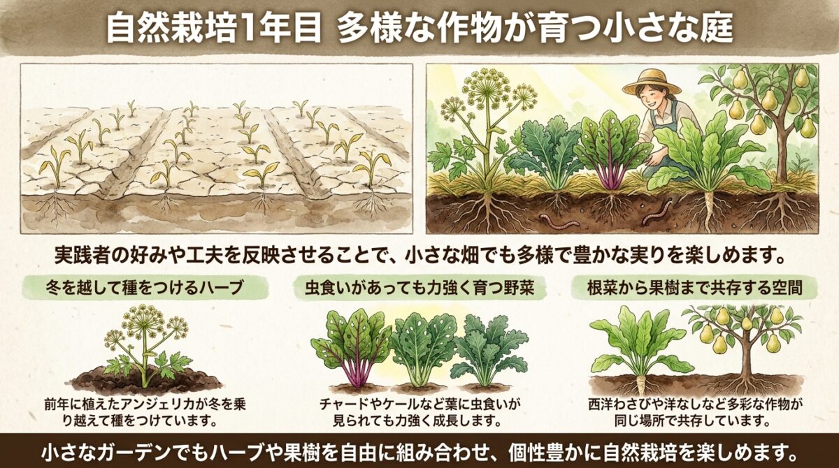 自然栽培1年目のガーデン見学|多種多様なハーブと野菜が育つ畑の個性