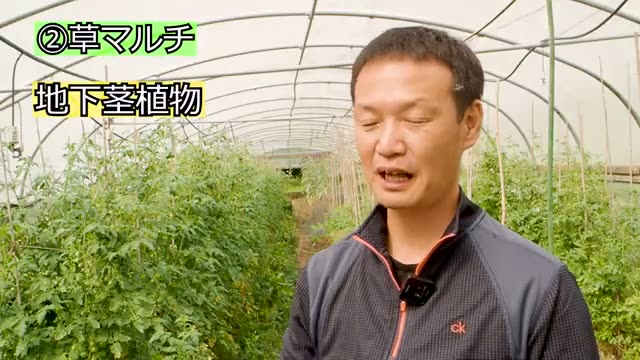 対策2:草マルチで光を遮る