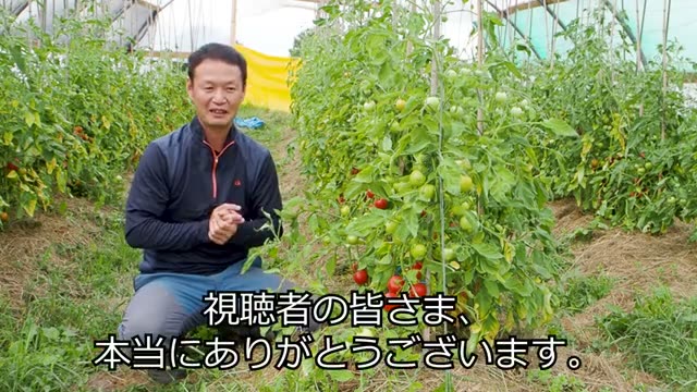 15年の自家採種で見られた実の縮小と皮の厚み