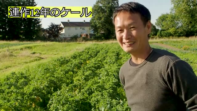 アブラナ科ケールの連作12年と畑の生態系の変化