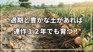 自然栽培で育てるタマネギのポイントと連作12年の土壌データ