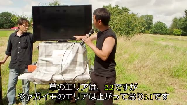 土壌分析データが証明する無肥料連作の成果