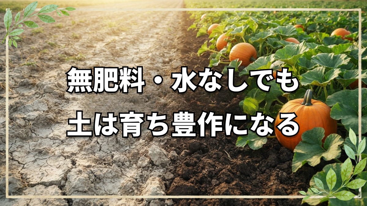 海外の参加者も熱視線！70名が集まった自然栽培ファームツアーと土壌データの実証
