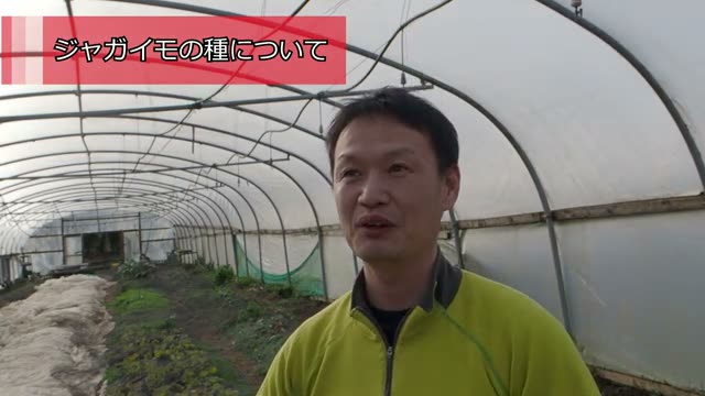 種イモ選びとカットする際の注意点