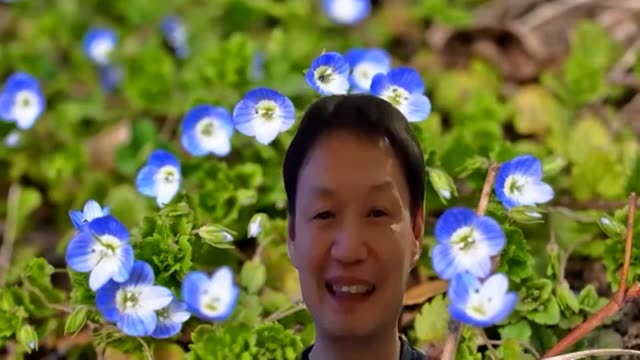 初心者にも育てやすい水菜の特徴と栽培期間