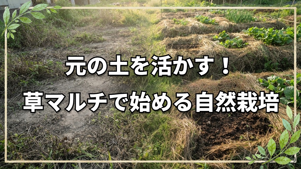 自然栽培の土地選びと畑の始め方