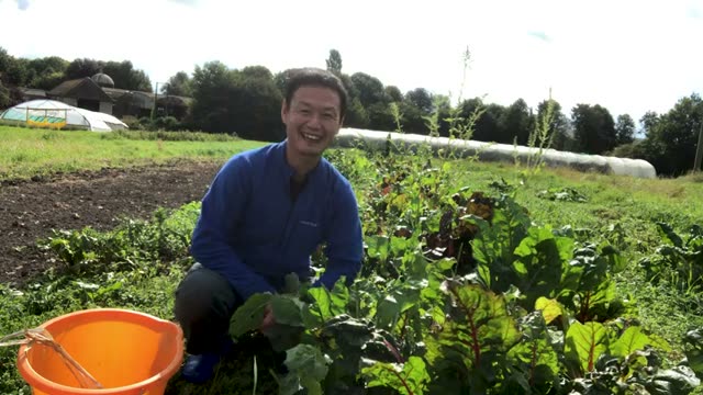 ニンニクの植え付け時期と種球の準備