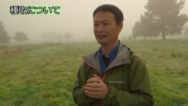 自家採種の基本と元となる種の選び方