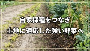 自家採種で強い野菜を育てる方法|タマネギとズッキーニの種採り手順