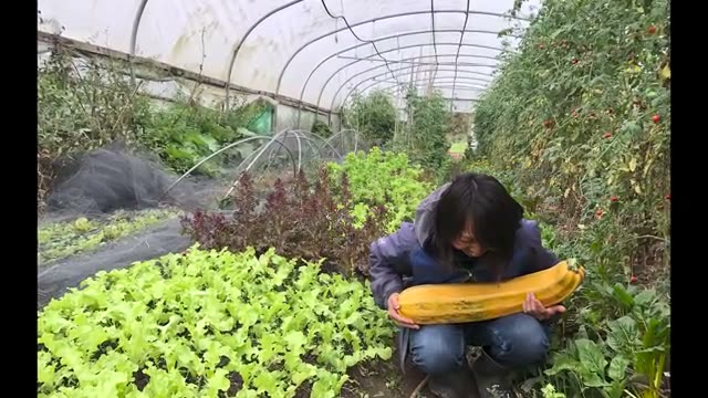 「人は自然を壊す存在」という思い込みが変わった理由