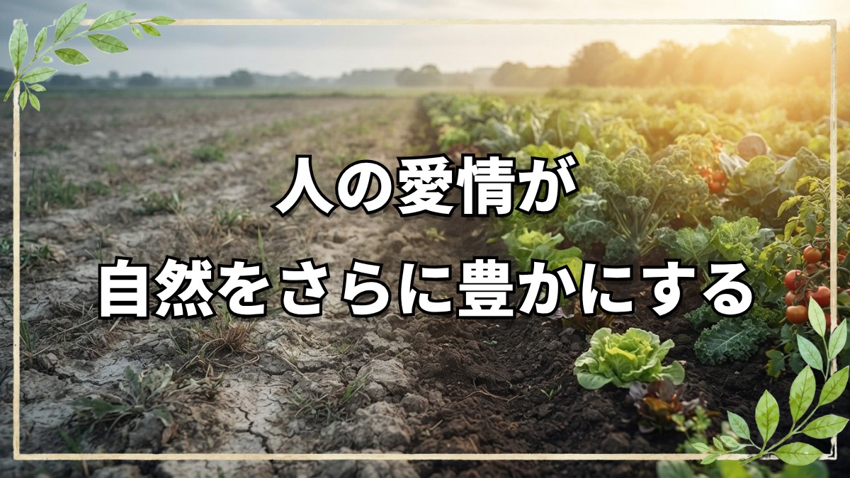 自然栽培研修6ヶ月の気づき｜人と自然が調和する農業のあり方