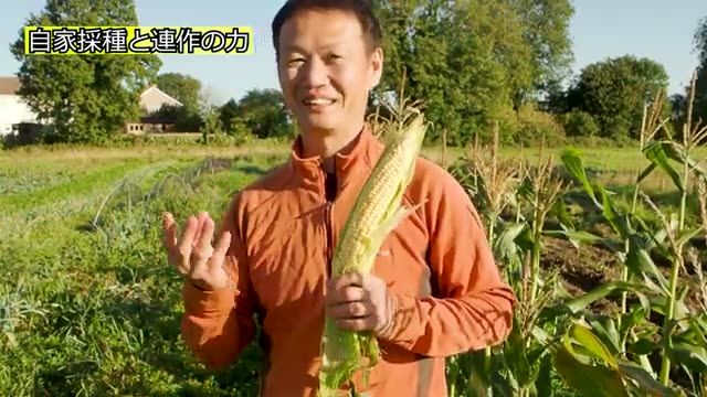 8〜9年かけて寒冷地に適応した自家採種のストーリー