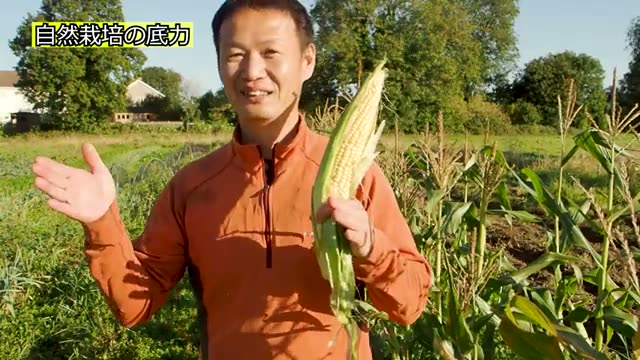 アフリカの干ばつに見る自家採種と自然栽培の力